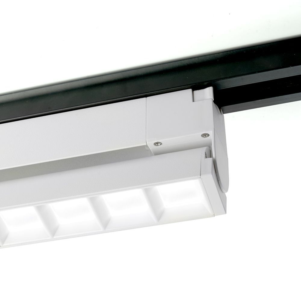 e_48375.jpg