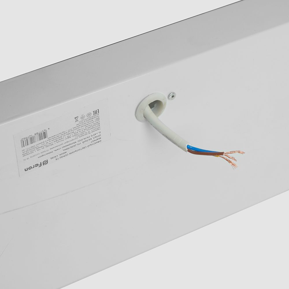 f_51224.jpg