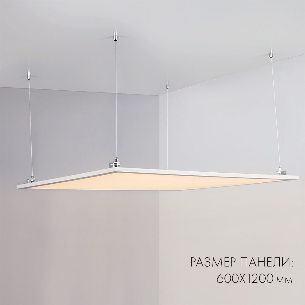d_DL-04100-0042.jpg