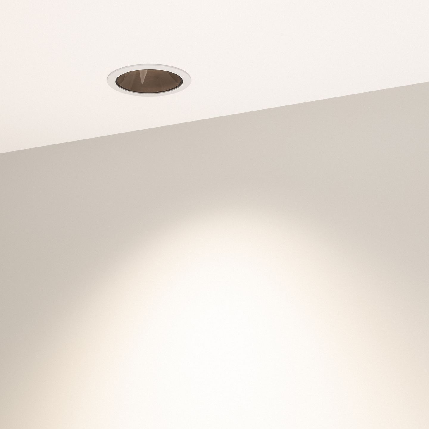 e_DL-04300-0100.jpg