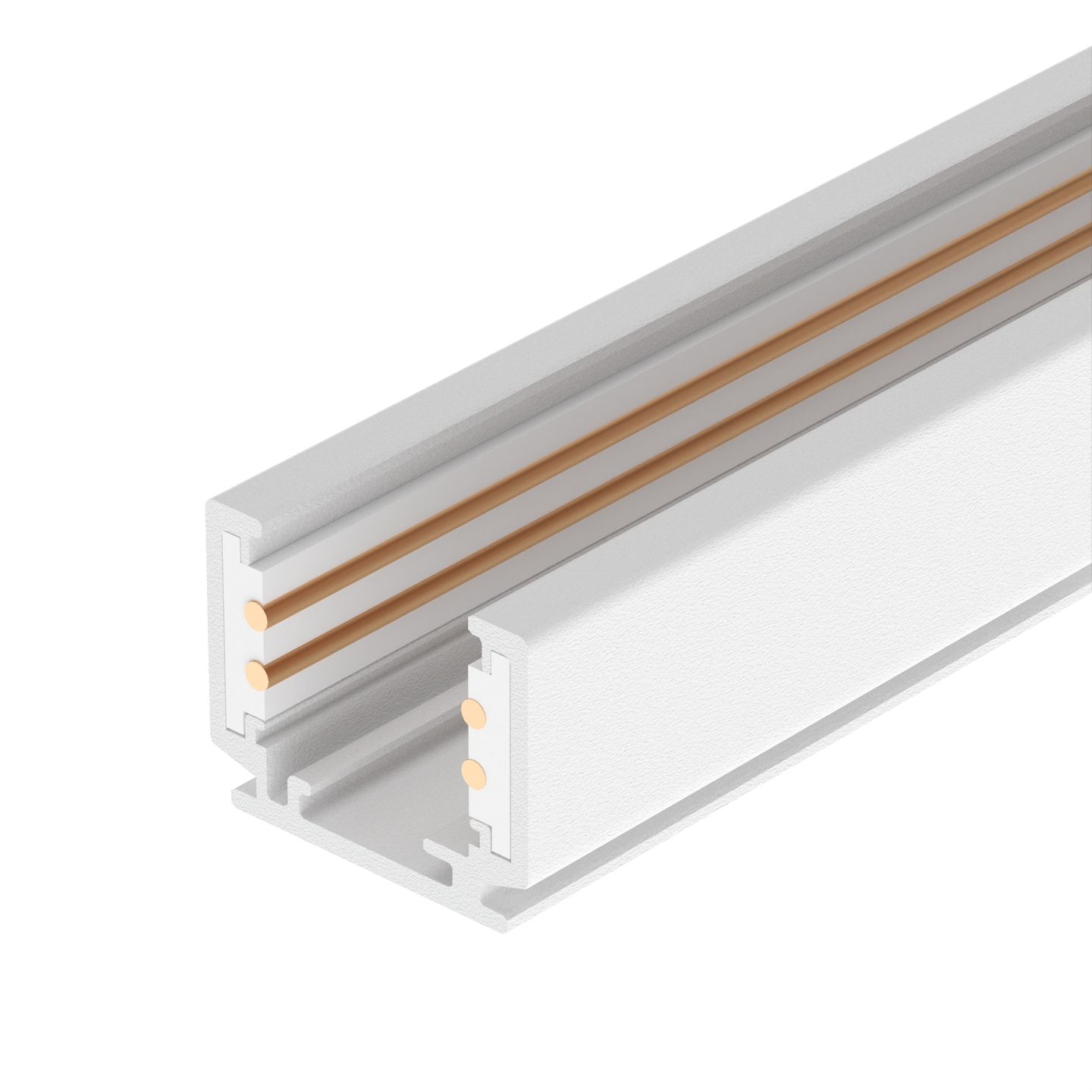 a_DL-12600-0895.jpg