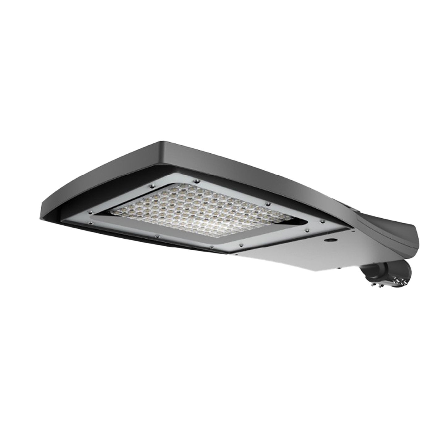 b_DL-14300-0080.jpg