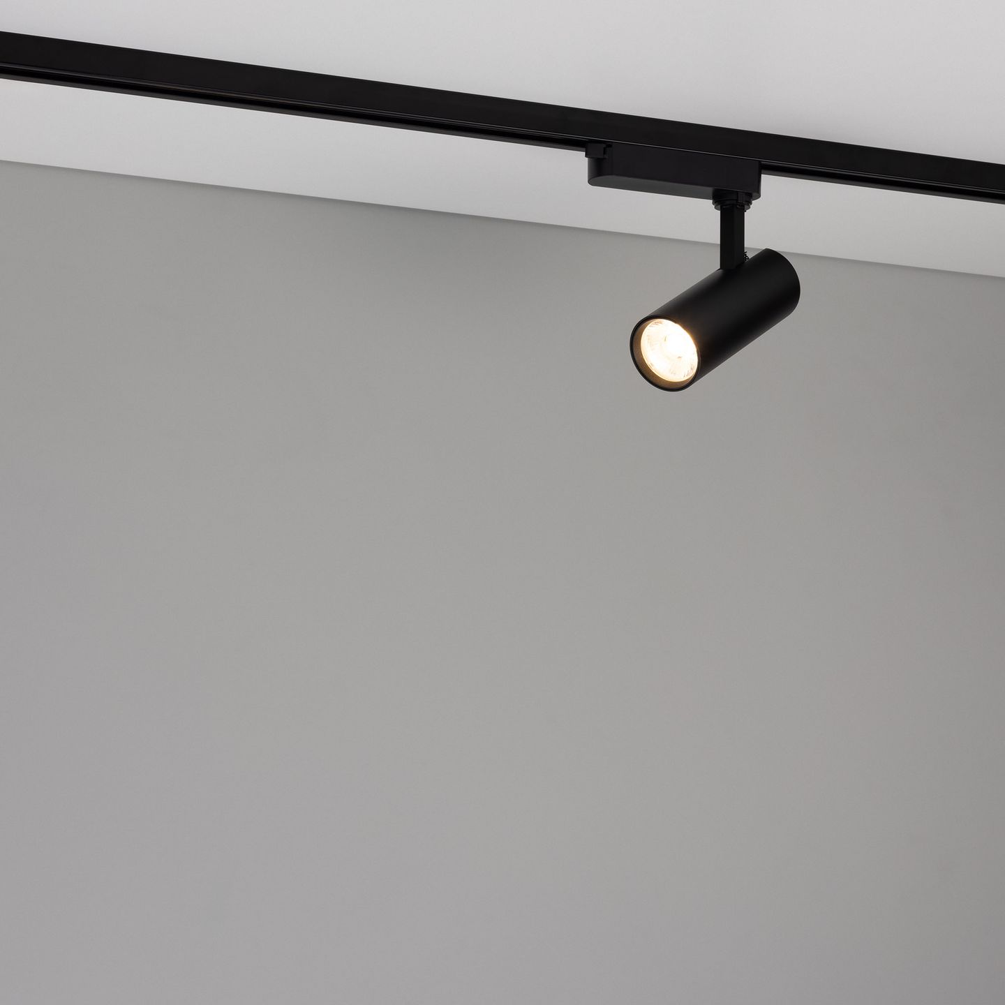 b_DL-12-0730.jpg
