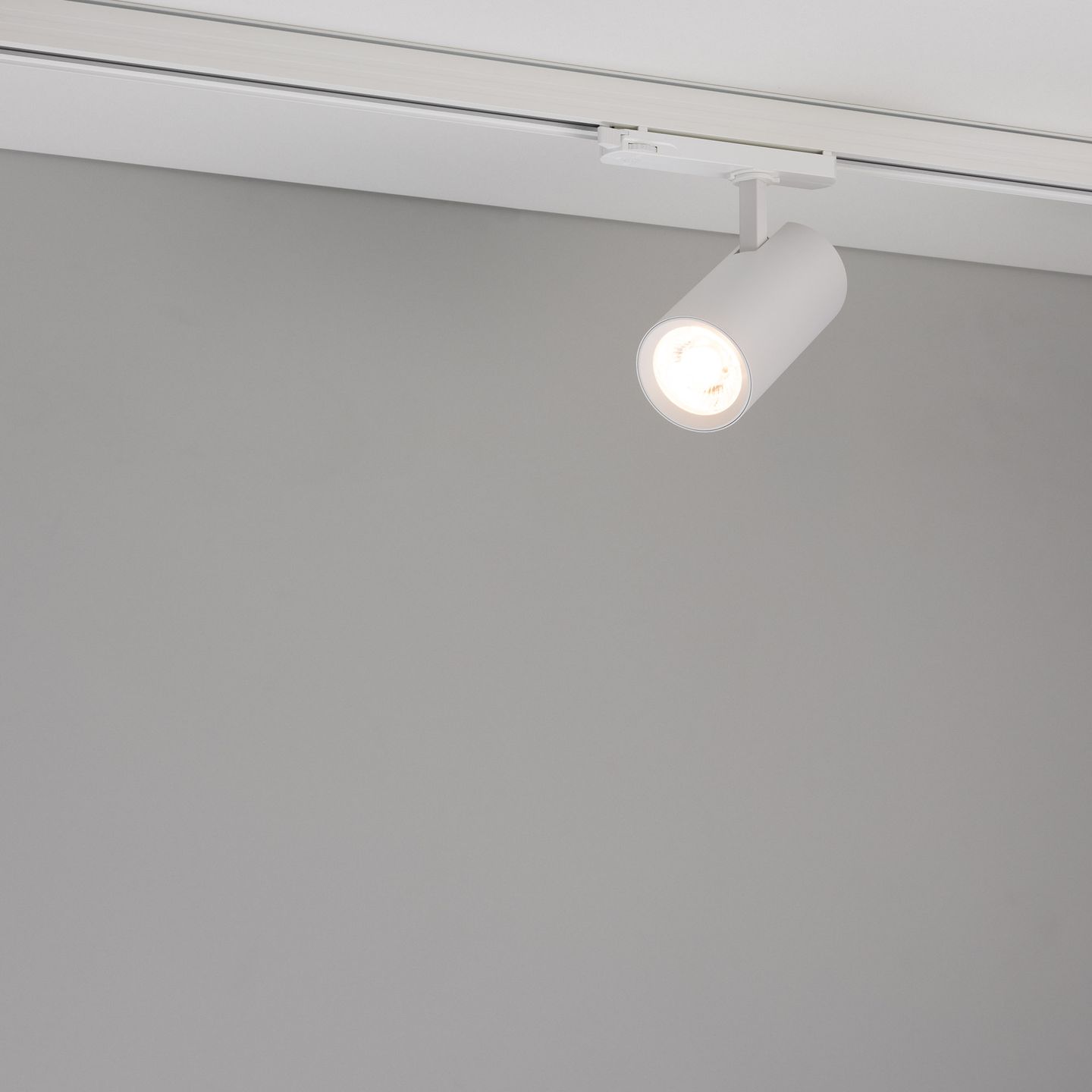 d_DL-12115-0108.jpg